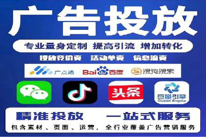某电商平台的SEM推广实践与效果展示
